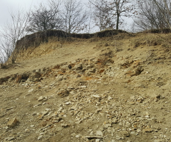 História / PALEONTOLOGICKÉ NÁLEZISKO Čierny potok - foto