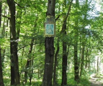 História / Sakrálne pamiatky - foto