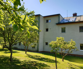 DSS Bojková