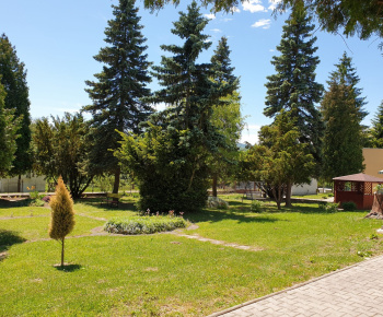 DSS Bojková