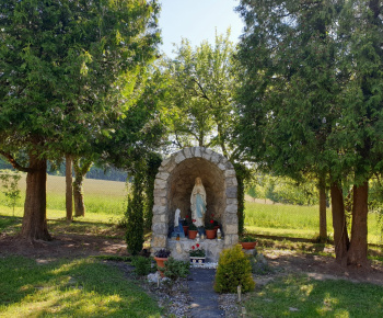 DSS Bojková